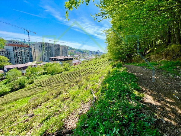 ЖК Чайные Холмы